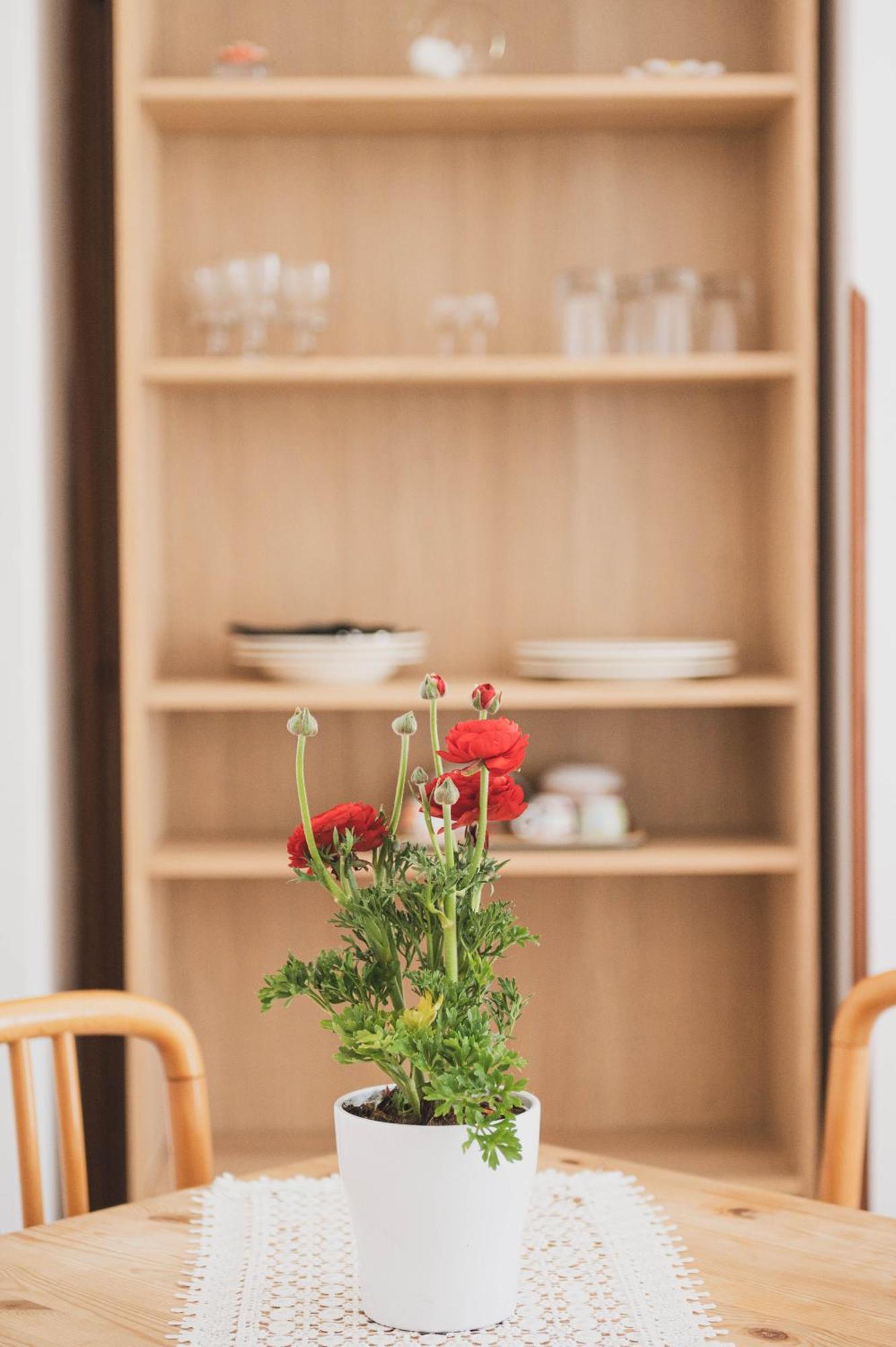 Pucare Apartments トラモンティ エクステリア 写真